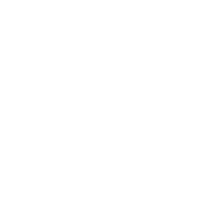DigiTech