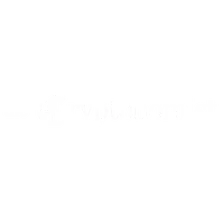 The Cryptonomist
