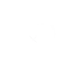 O Business